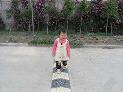 爱在独木桥,青春岁月里的甜蜜与挑战