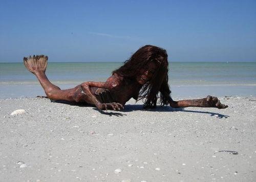 美人鱼,海洋奇缘与爱情传奇