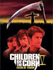 玉米田的小孩5,探寻乡村孩子的成长足迹